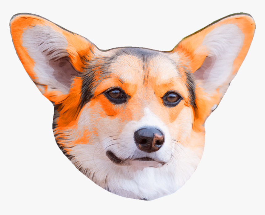 Cardigan Welsh Corgi, HD Png Download