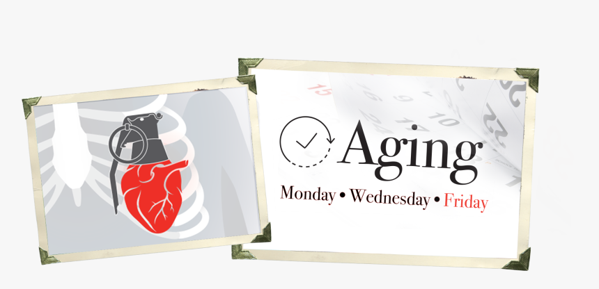 Dree Hemingway Style, HD Png Download