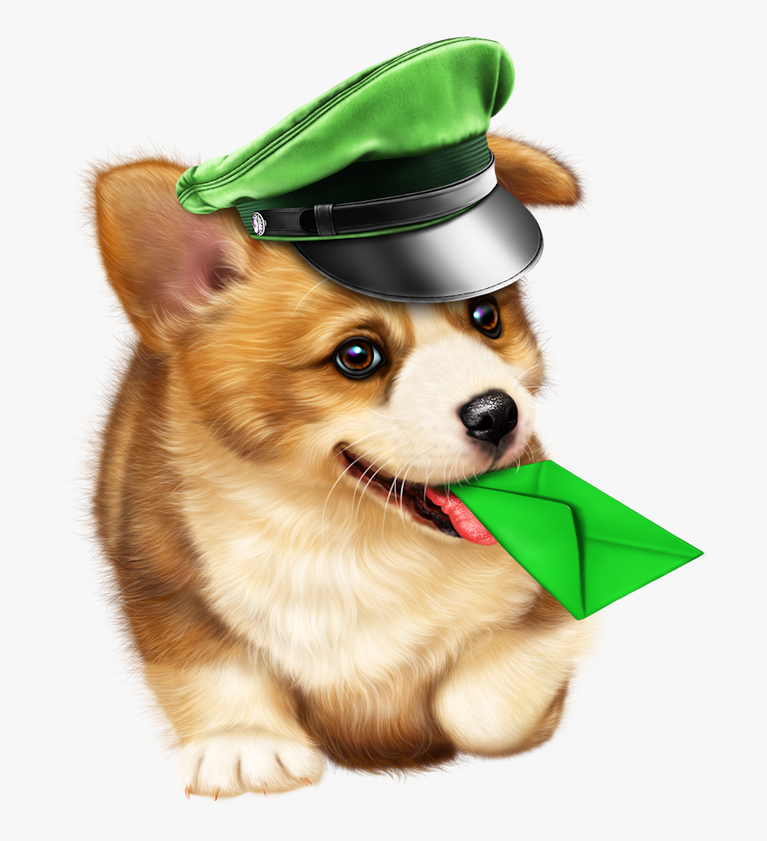 Pembroke Welsh Corgi, HD Png Download