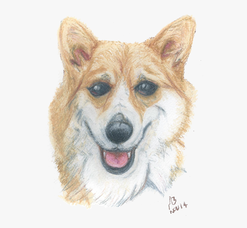 A Watercolour Pencil Drawing Of A Corgi - Pembroke Welsh Corgi, HD Png Download