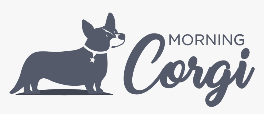 Chihuahua, HD Png Download