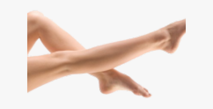 Legs Png Background Image - Leg .png, Transparent Png