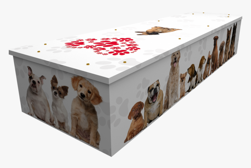 Quirky Coffin Designs - Creative Coffin, HD Png Download