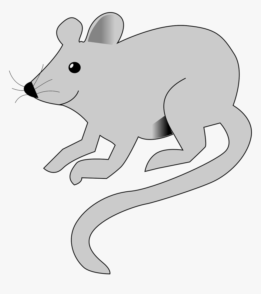Rat Animation Transparent, HD Png Download