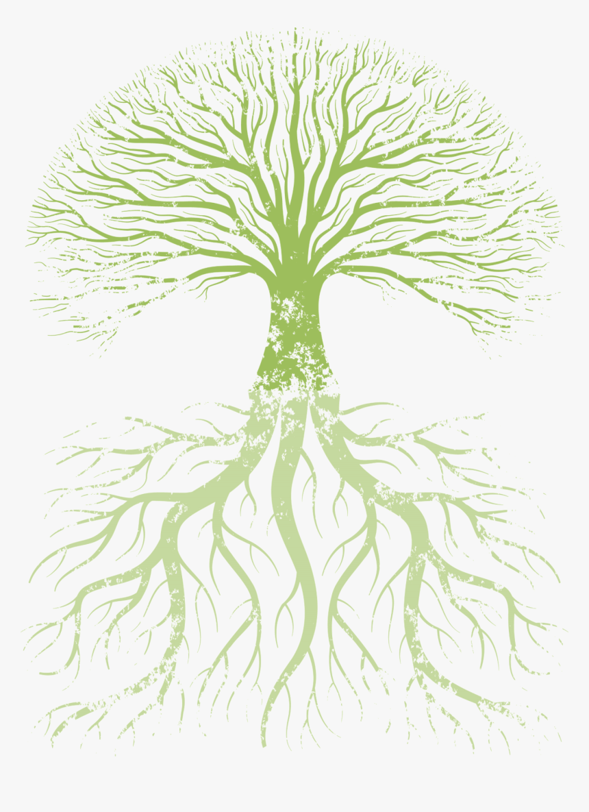 Family Tree Root Tree Of Life - True Knowledge Is Knowing The Extent Of One's Ignorance, HD Png Download