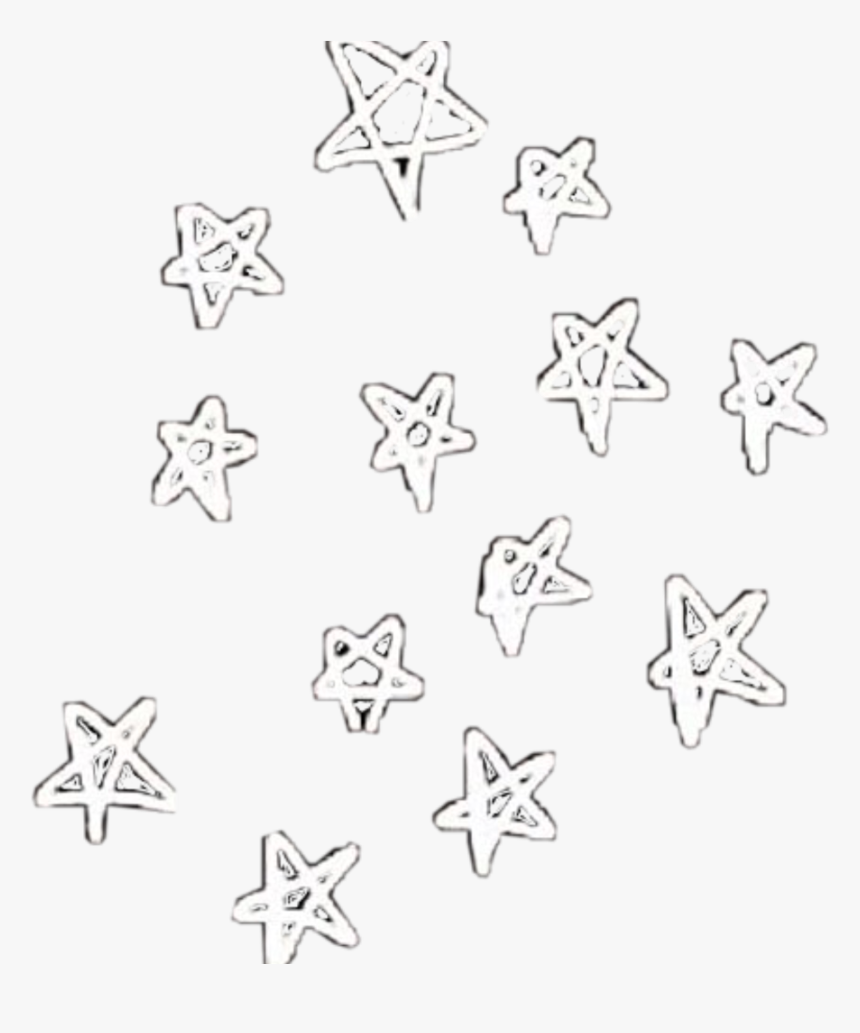 Transparent Star Outline Png - Marine Invertebrates, Png Download