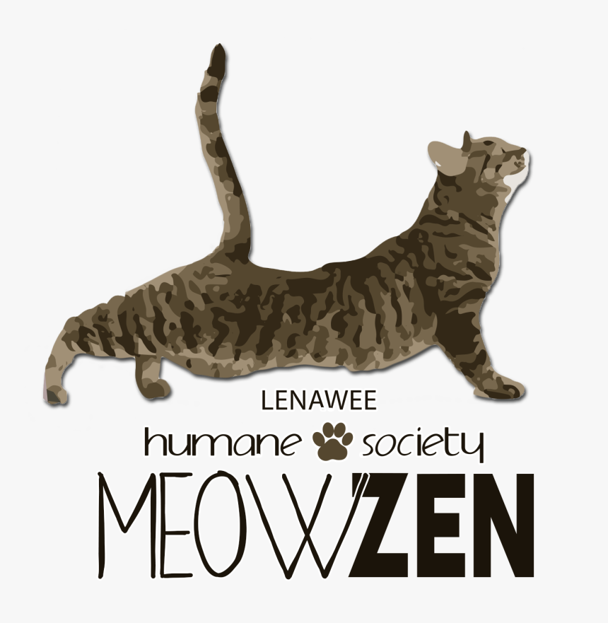 Yoga Cats Png - Dog, Transparent Png