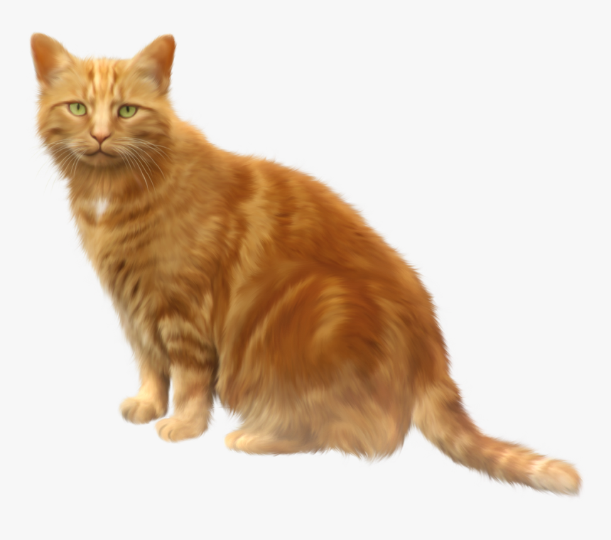 Cat Png Image - Cat Clipart Transparent Background, Png Download