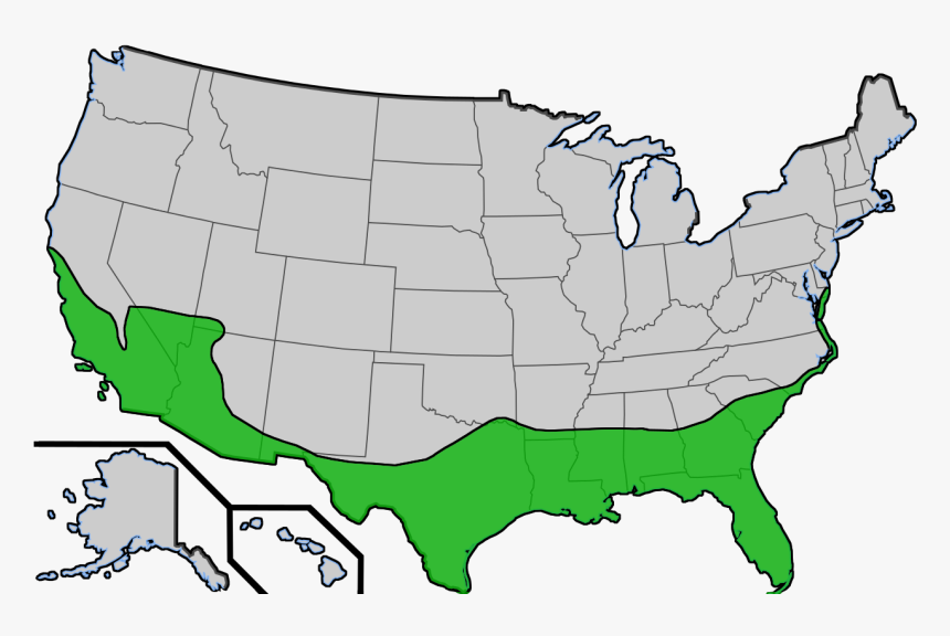 Range Of Sabal Palmetos In The United States Do Palm Trees Grow In