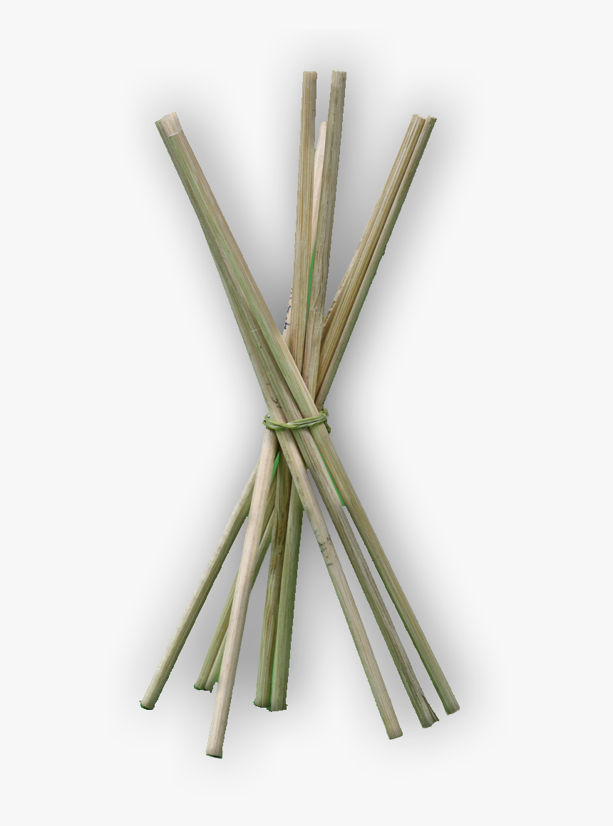 Wire , Png Download - Pond Pine, Transparent Png