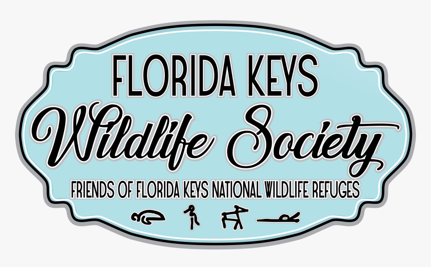 Florida Keys Wildlife Society, HD Png Download