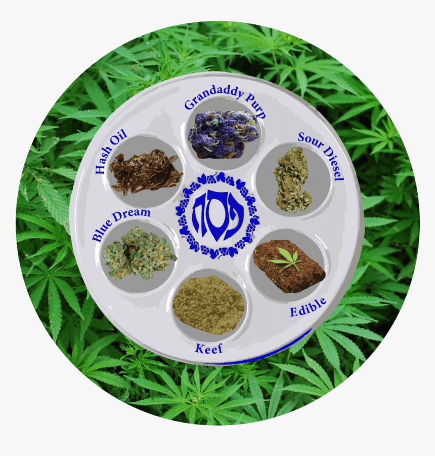 Passover And 4 20, HD Png Download