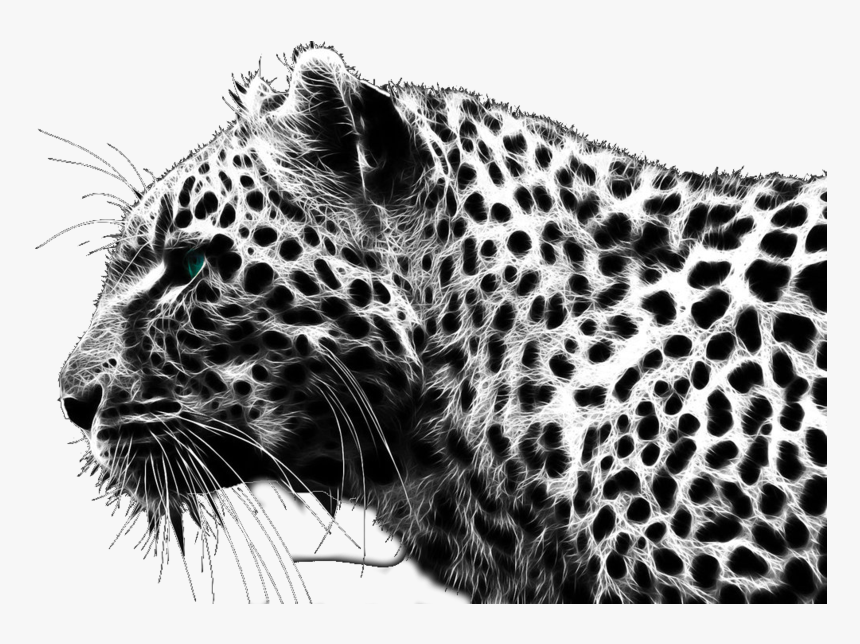 Cheetah Png - Leopard Black And White, Transparent Png