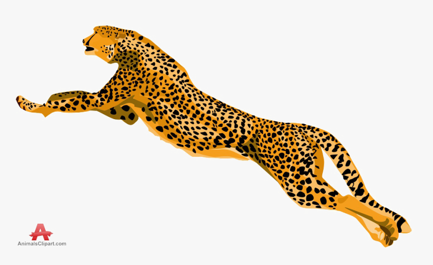 Cheetah Png Download Image - Cheetah Clipart, Transparent Png