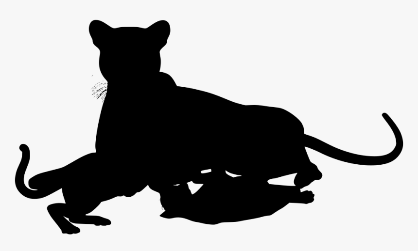 Wildcat Clipart Cheetah - Portable Network Graphics, HD Png Download