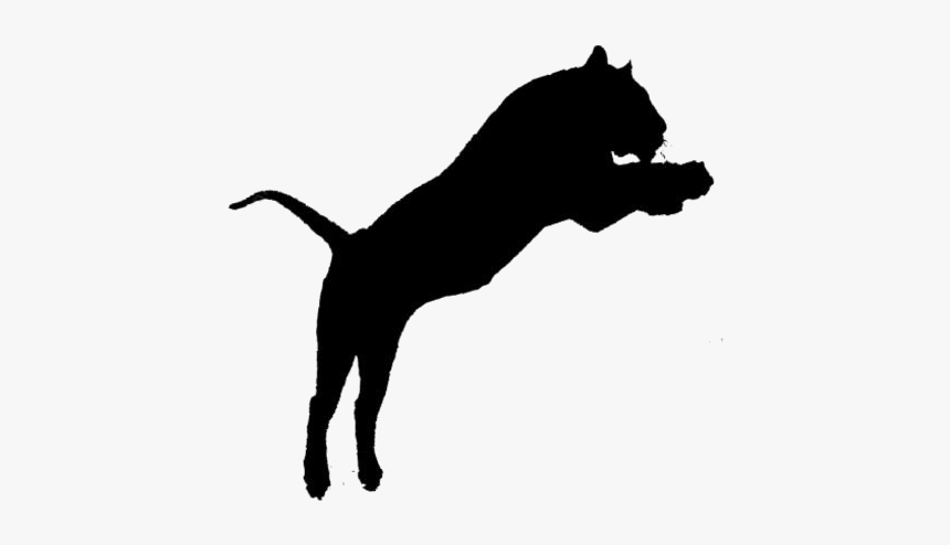 Transparent Cheetah Png Cartoon - Tiger Jump Png, Png Download