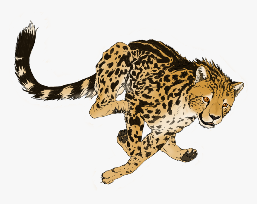 Cheetah Art Png, Transparent Png