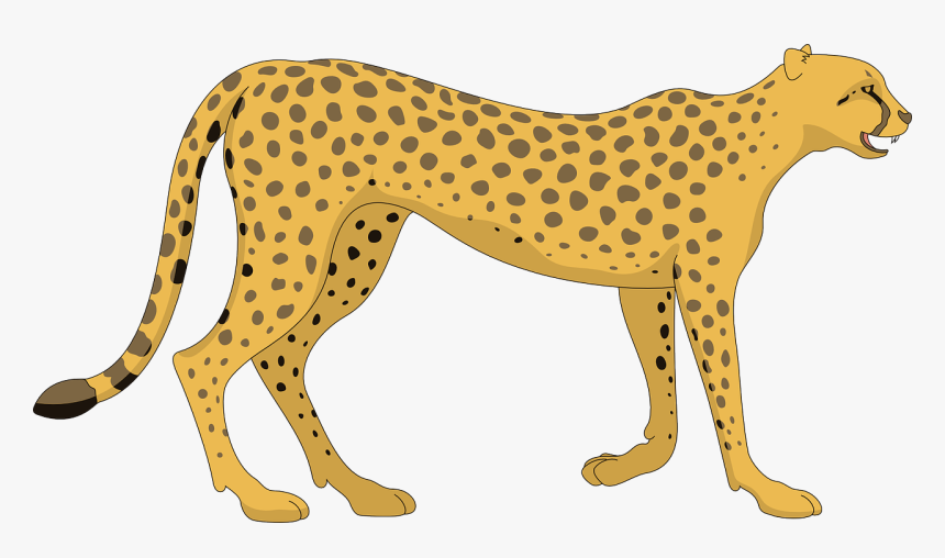 Transparent Cheetah Clipart, HD Png Download