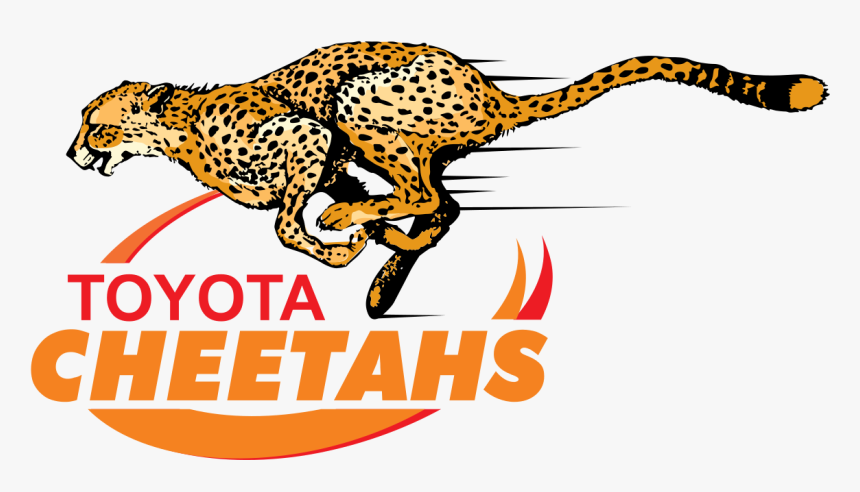 Transparent Cheetah Png - Cheetahs Rugby Logo, Png Download