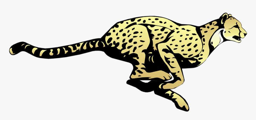 Cheetah, Running, Speed, Animal, Fast, Mammal, Spots - Figurative Language Worksheets For Grade 7, HD Png Download