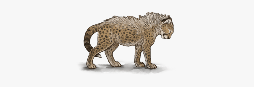 African Leopard, HD Png Download