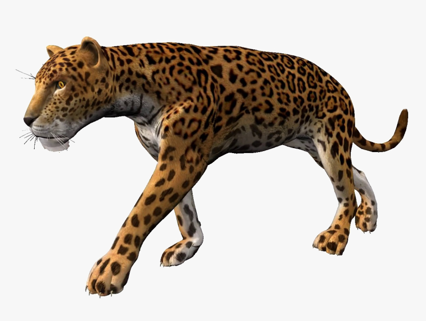 Cheetahpng Background - Leopard Animation, Transparent Png