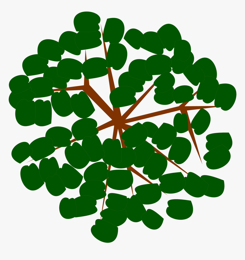 Tree-12f Clip Arts - Icon, HD Png Download
