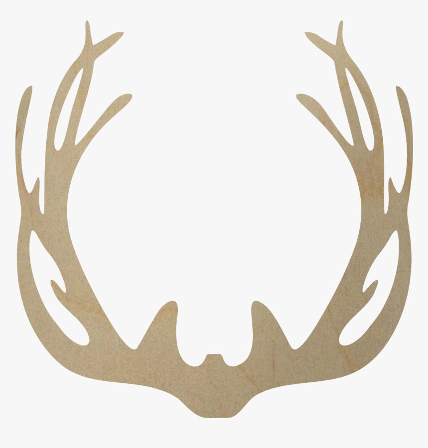 Antler Www Pixshark Com Images Galleries With A Bite - Deer Antlers Png Transparent, Png Download