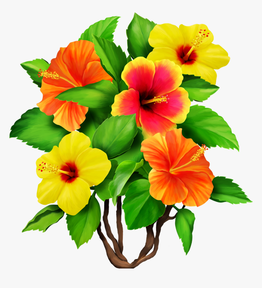 Hawaiian Aloha Tropical - Tropical Flowers Png, Transparent Png
