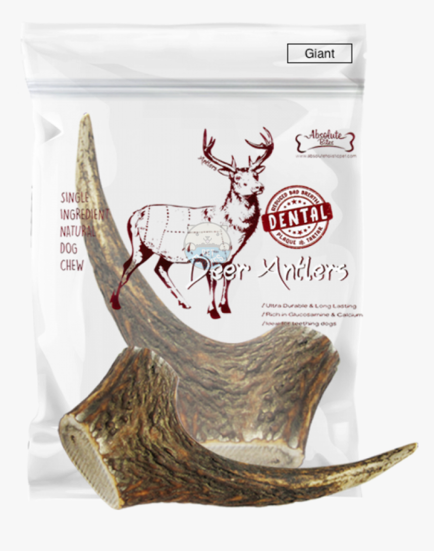 Antler, HD Png Download