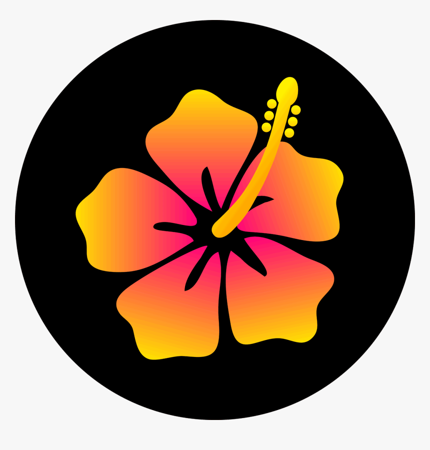 Colorful Hibiscus Flower Design - Design Hibiscus Flower, HD Png Download