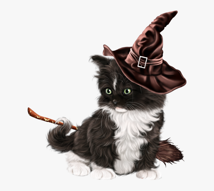 Cat, HD Png Download