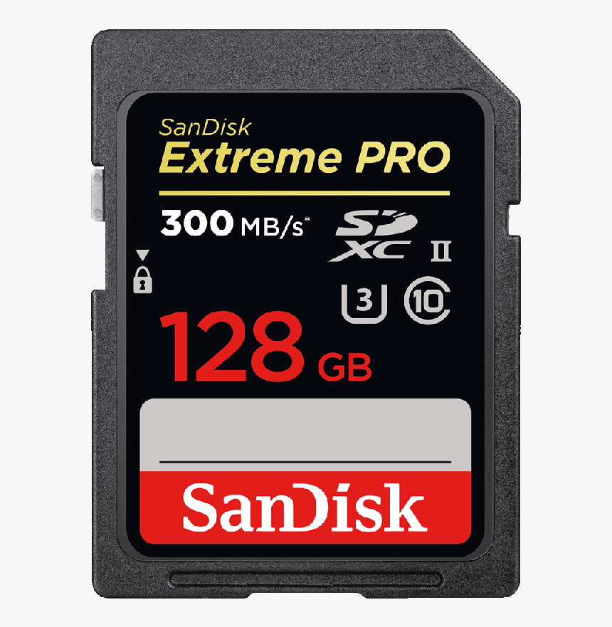 1000 Gb Memory Card, HD Png Download