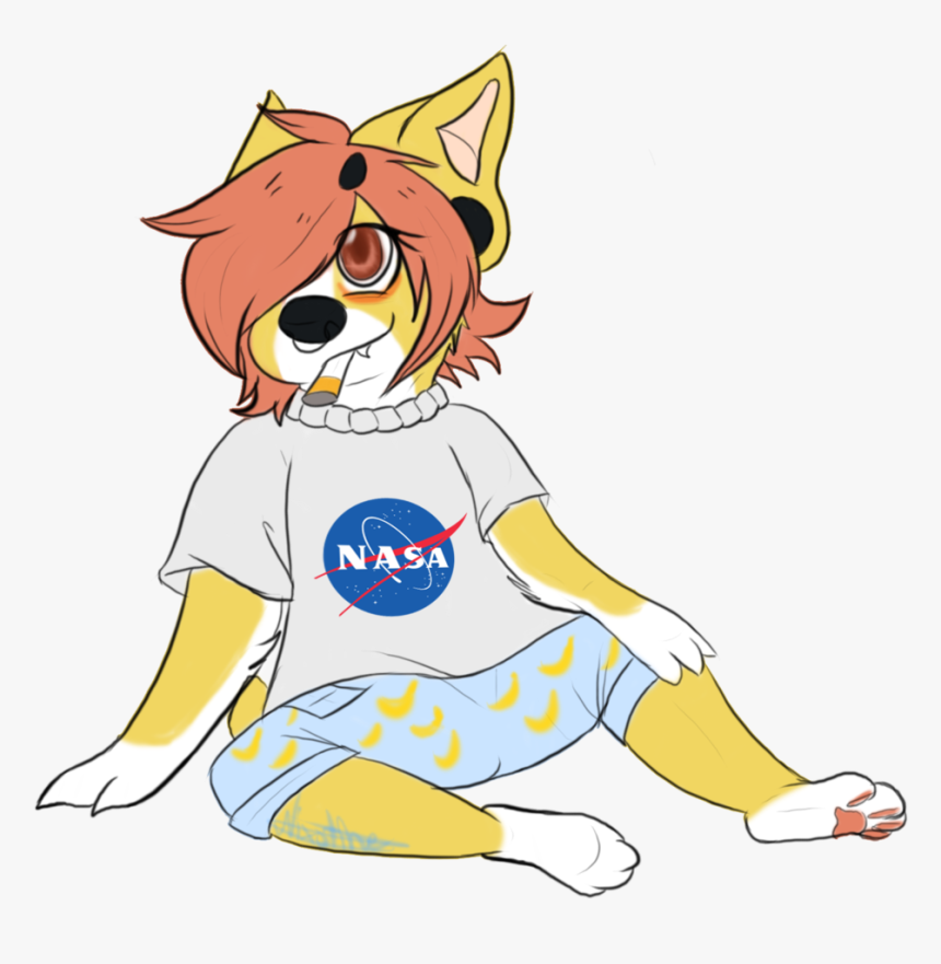 Bruises And Bite Marks Say - Nasa, HD Png Download