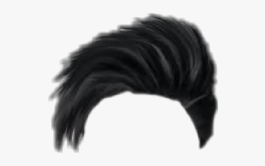 Hair Png, Hair Png Cb, Picsart Hair Png, Cb Hair Png, - Fish, Transparent Png