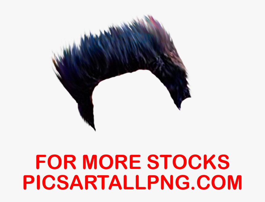 Wig, HD Png Download