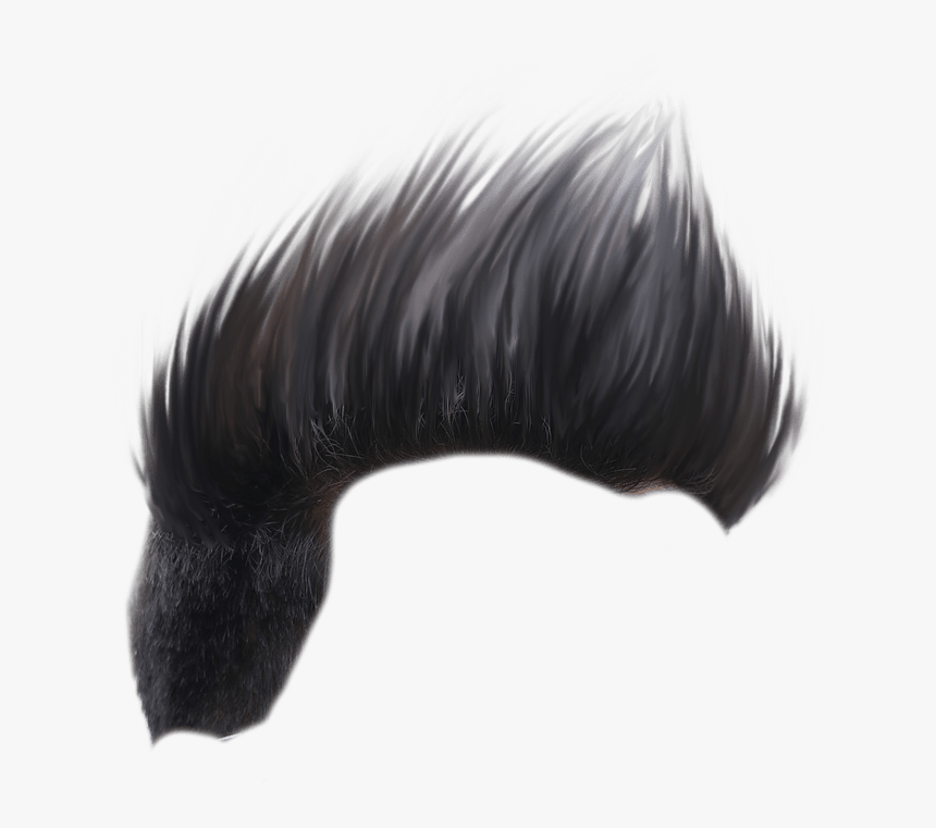 Hair Png New - Hair Png Edit Cb, Transparent Png