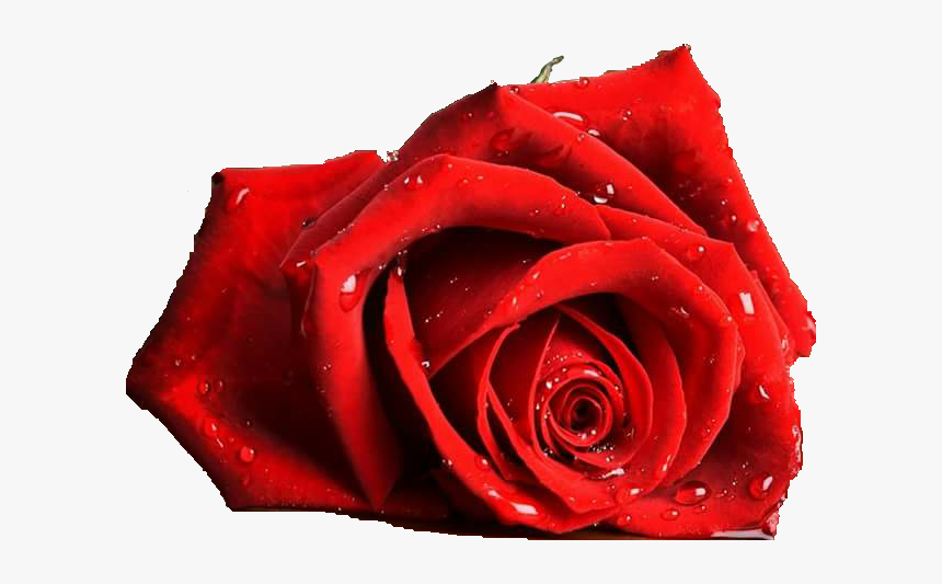 Har Har Mahadev Jai Shankar Mahakaal Tridev Om Namah - Beautiful Happy Mothers Day, HD Png Download