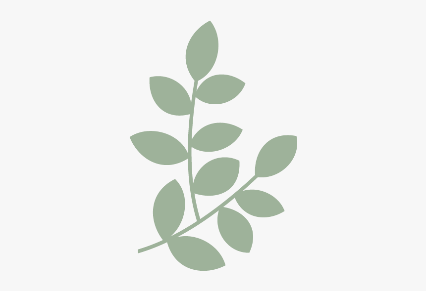 Graphic 4 600 B - Illustration, HD Png Download