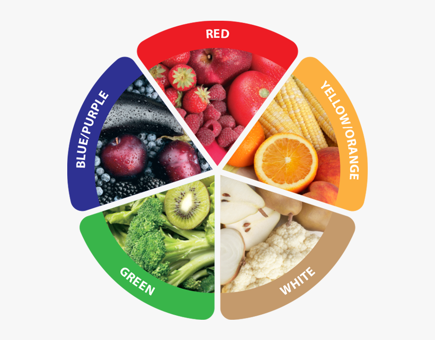 5 Colours A Day, HD Png Download