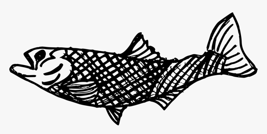 Fish Drawing Transparent, HD Png Download