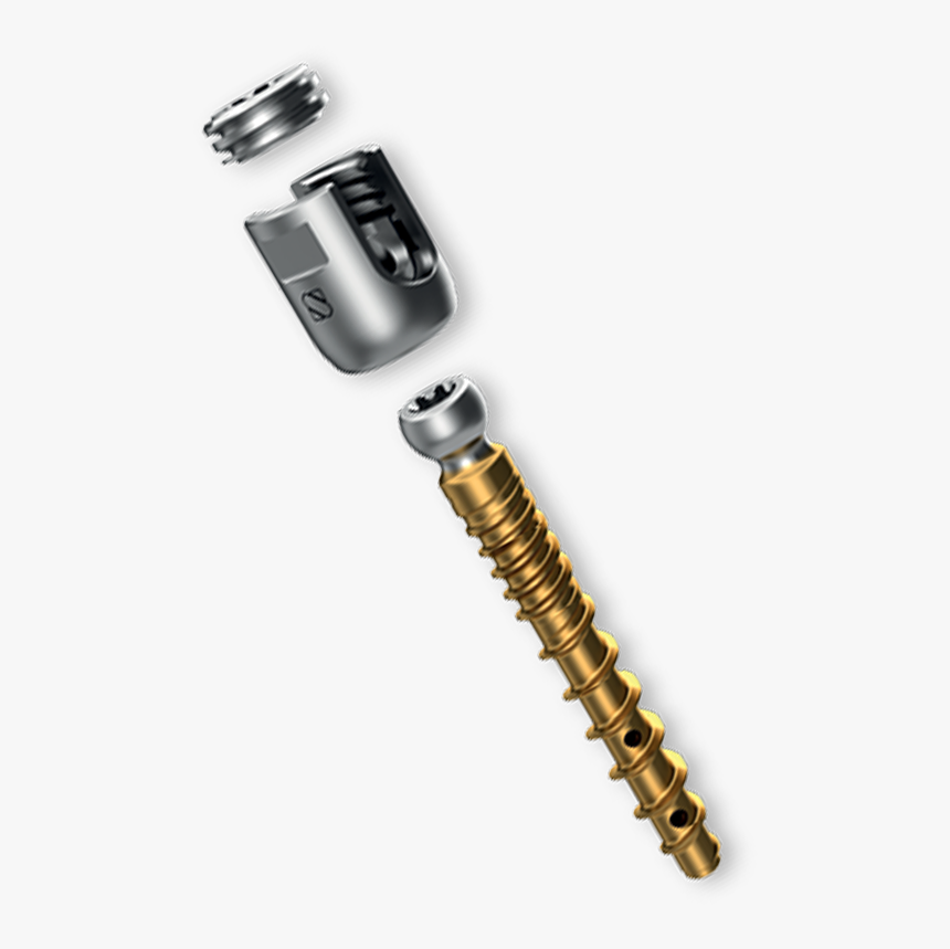 Diplomat - Modular Pedicle Screw System, HD Png Download
