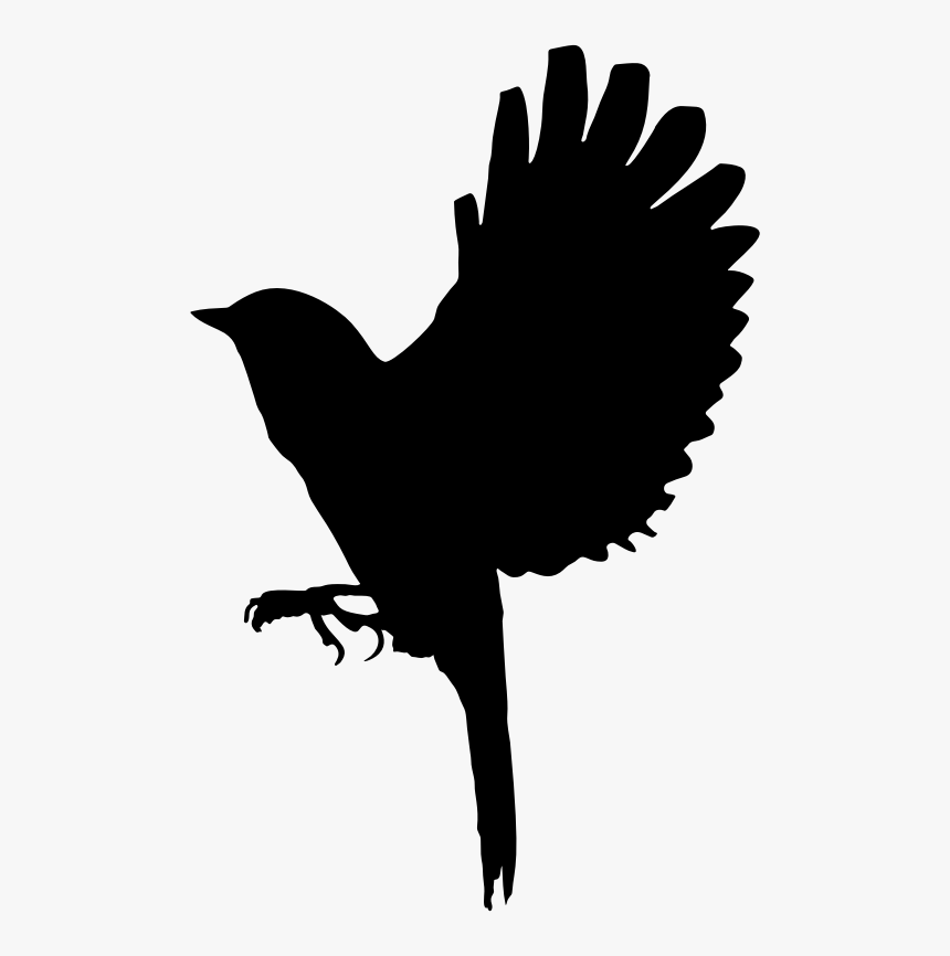 Flapping Bird Silhouette - Illustration, HD Png Download