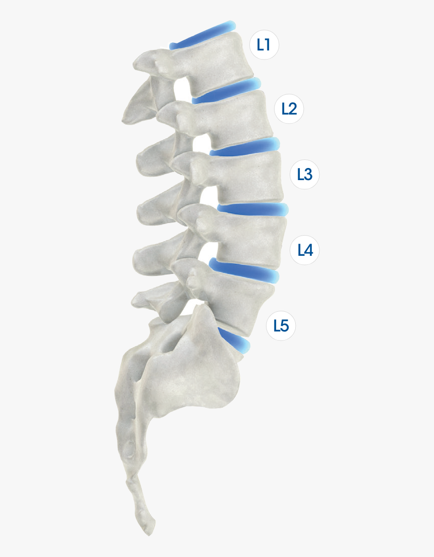 Sock, HD Png Download