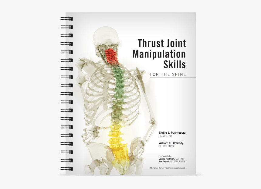 Thrust Joint Manipulation Skills For The Spine - Thrust Joint Manipulation, HD Png Download