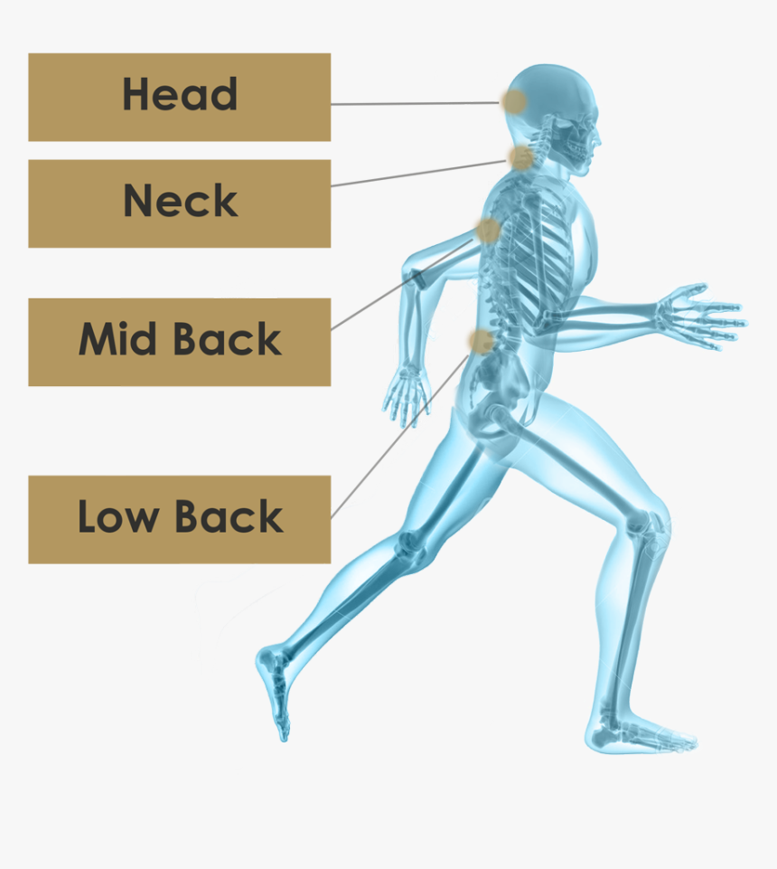 Orthopedic Image Png, Transparent Png
