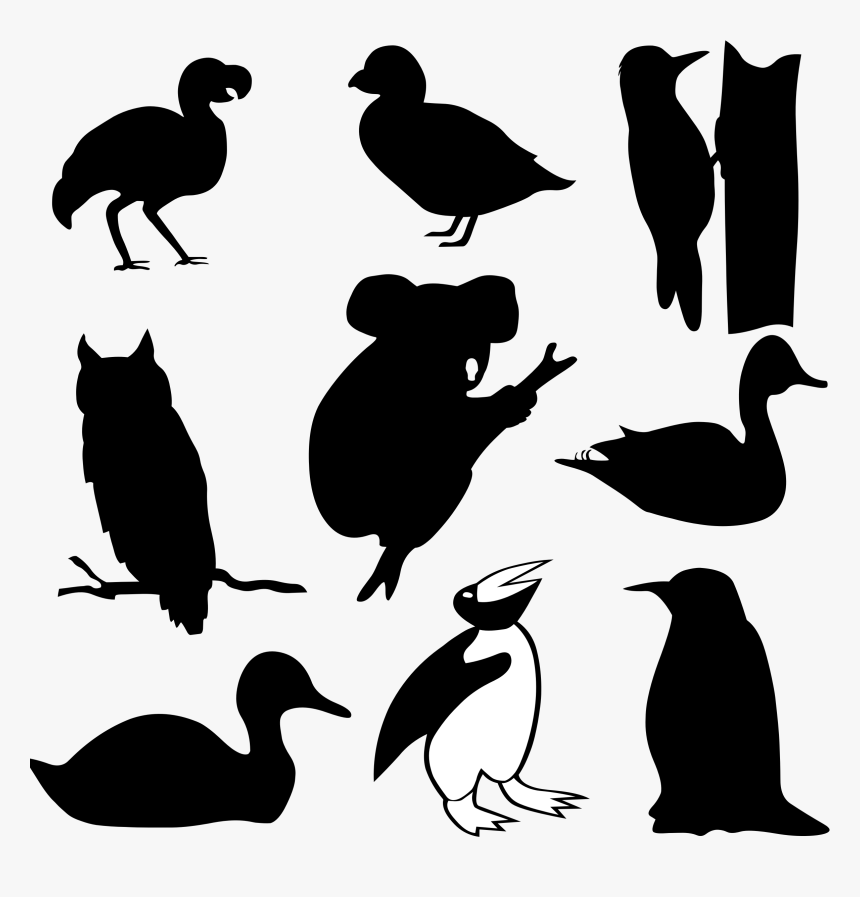 Birds Silhouettes And A Koala Clip Arts - Owl On Branch Silhouette, HD Png Download
