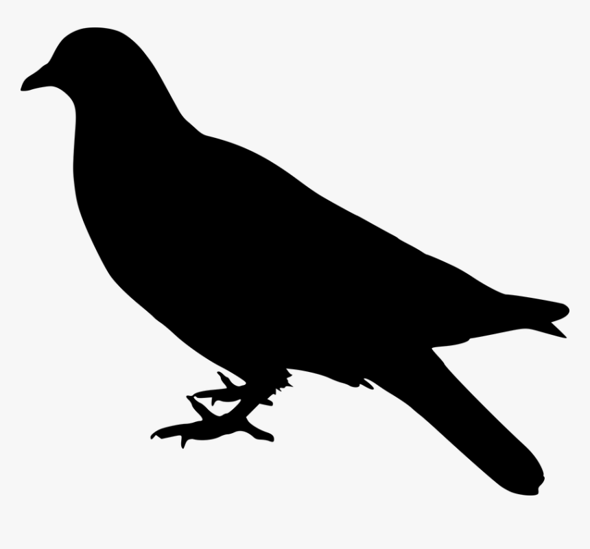 Dove, Bird, Silhouette, Animal, Avian, Emblem, Farm Bird Stand Png