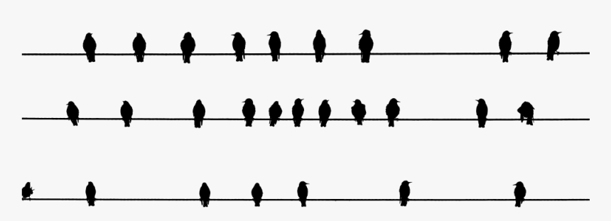 Array Of Perched Birds Silhouette - Silhouette, HD Png Download