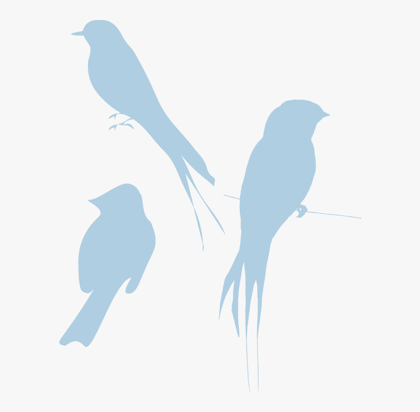 Blue Silhouette Birds Look So Bird Clipart Transparent - Transparent Clipart Bird Silhouette, HD Png Download